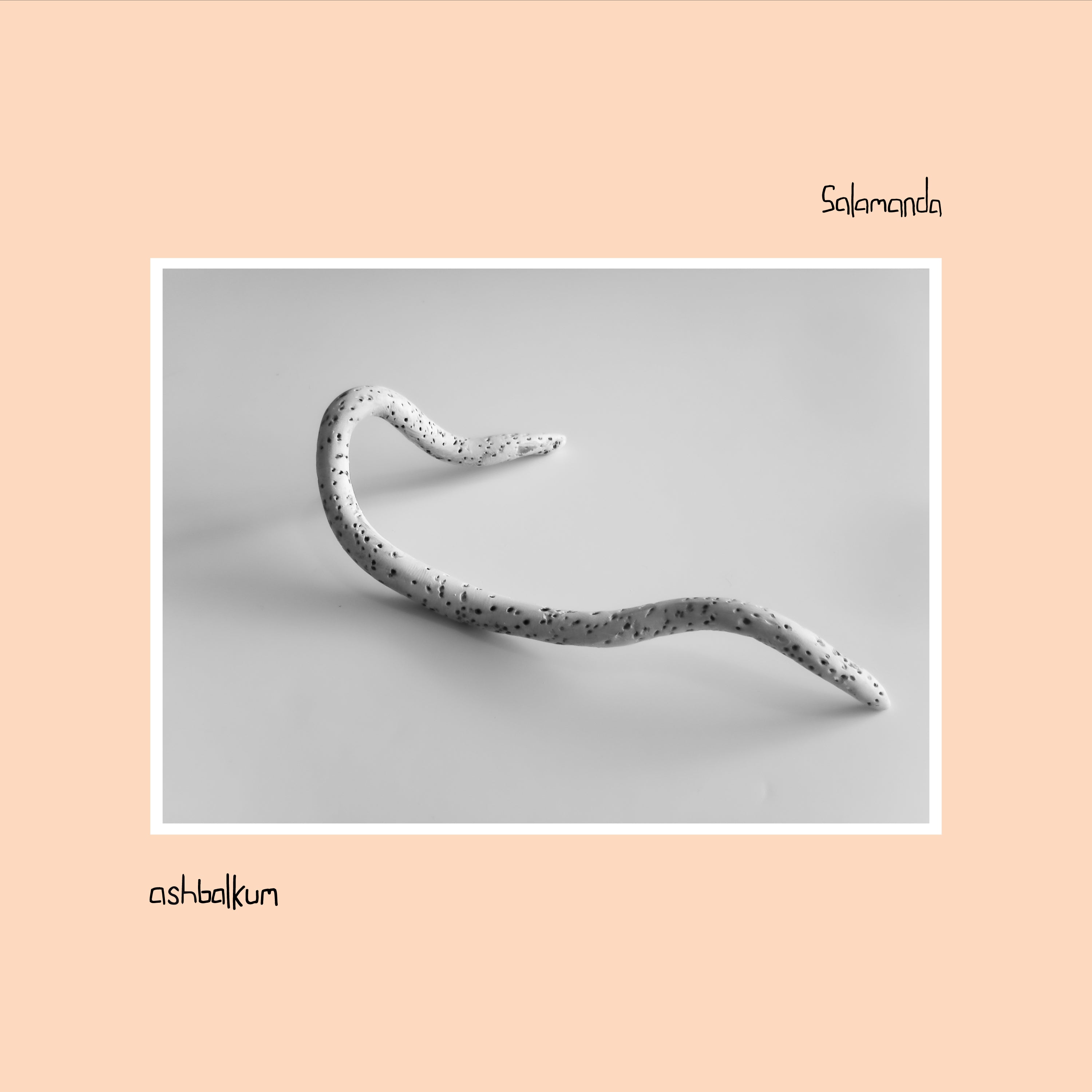 SALAMANDA / ASHBALKUM (LP)
