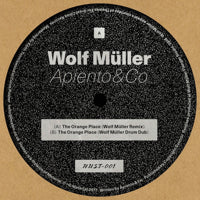 APIENTO & CO / THE ORANGE PLACE (Incl. WOLF MÜLLER REMIXES)