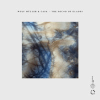 WOLF MÜLLER & CASS. / THE SOUND OF GLADES (LP)