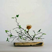 MARK BARROTT / MUSIC FOR PRESENCE EP