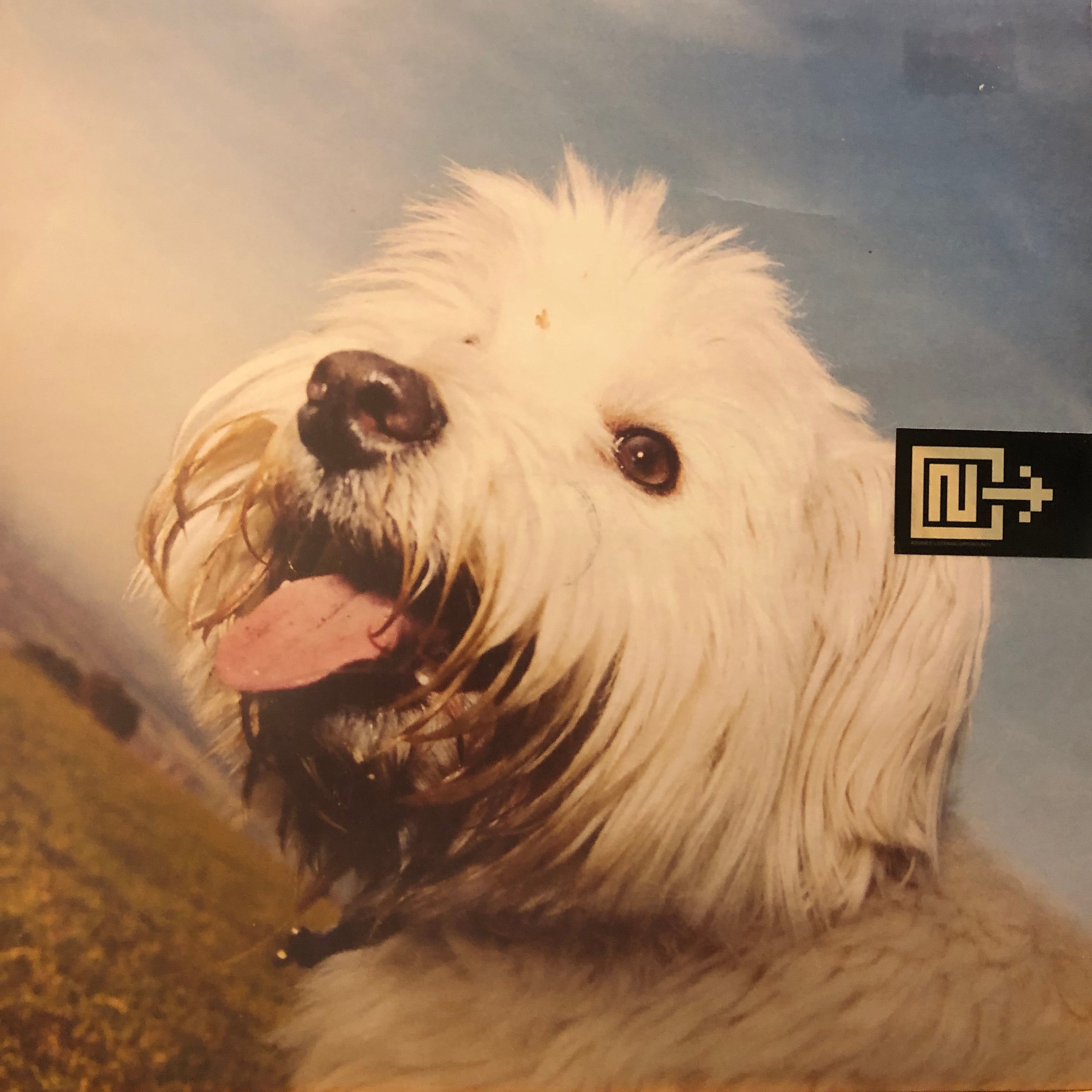 MOLOKO / SING IT BACK (MIXES.2) (USED)