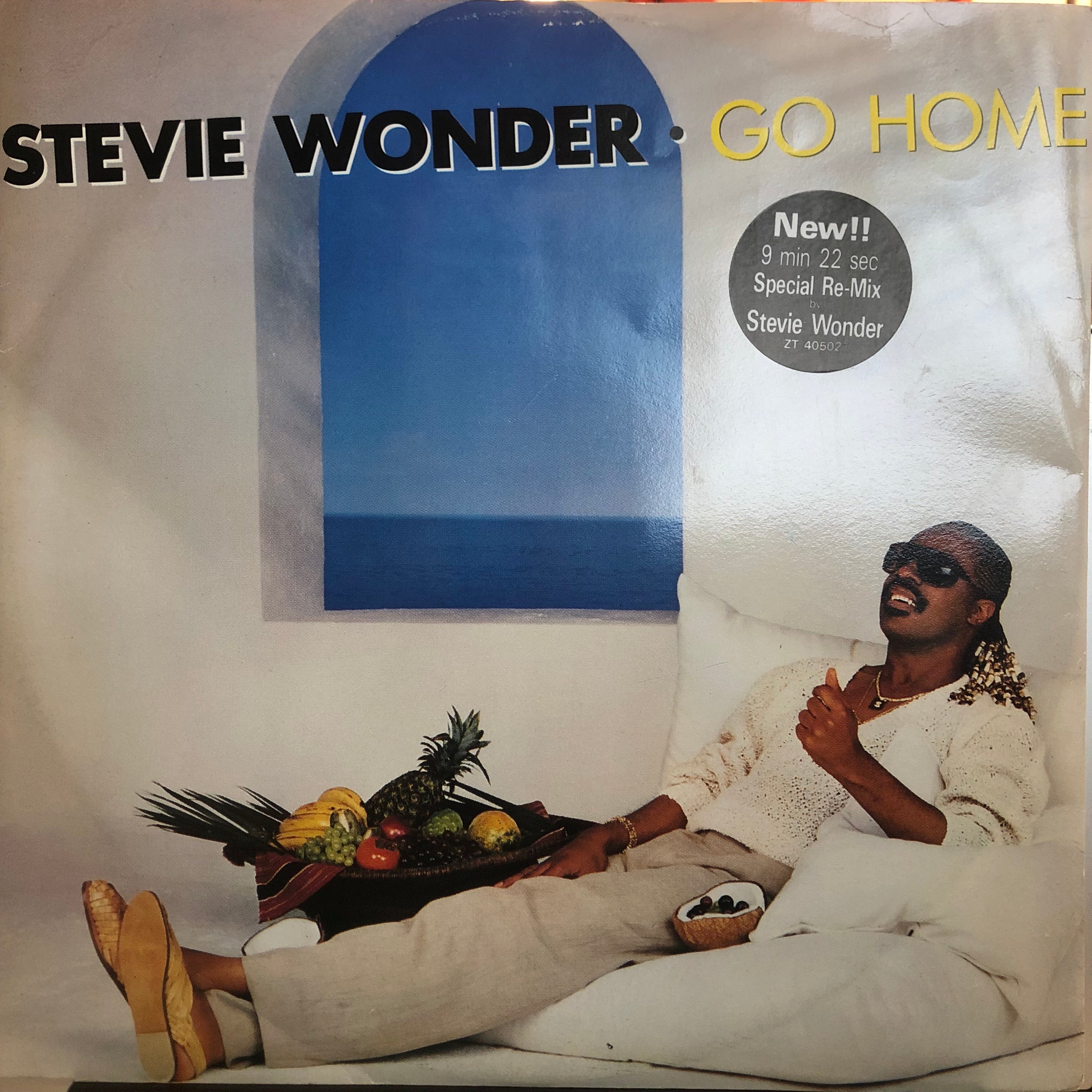 STEVIE WONDER / GO HOME (SPECIAL REMIX) (USED)