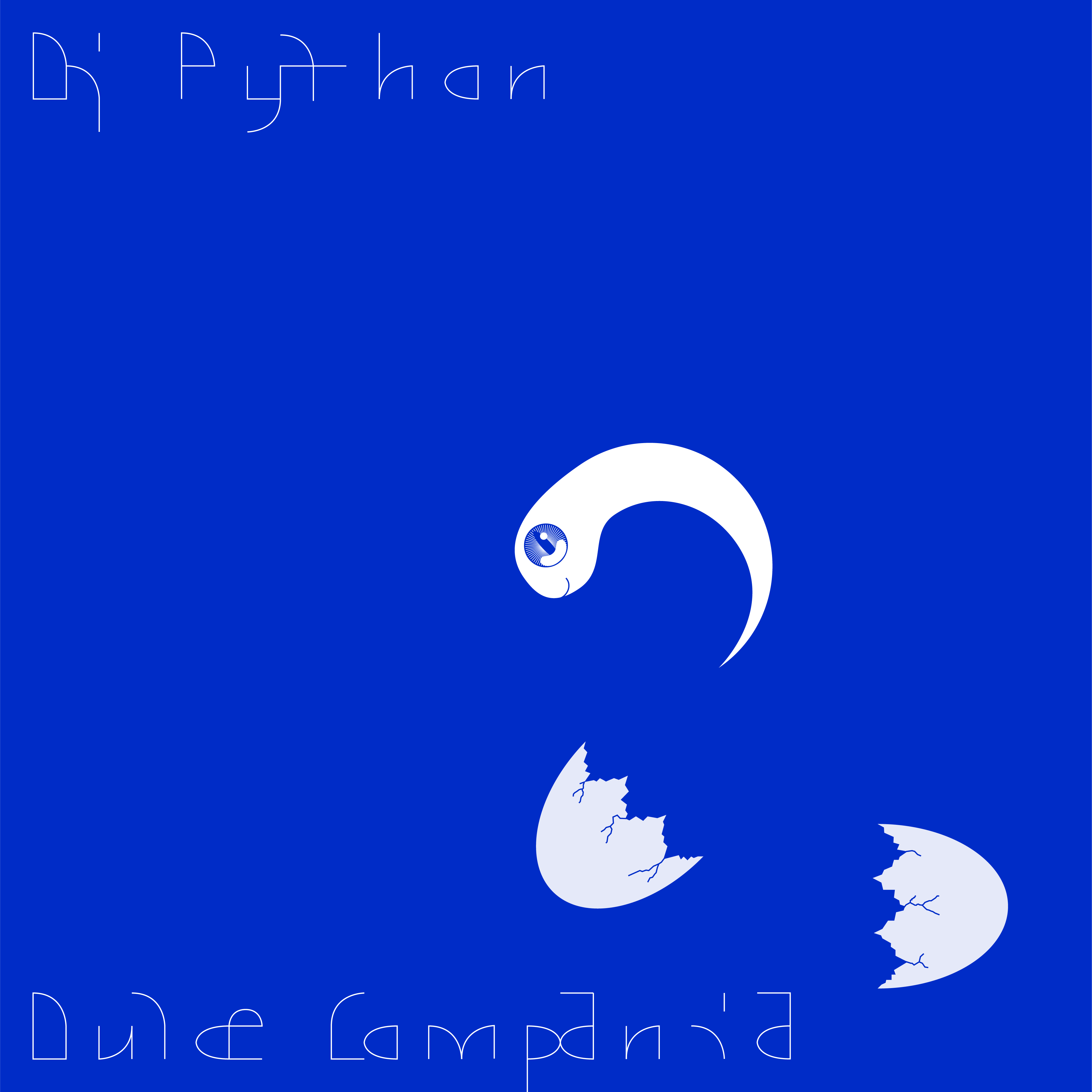 DJ PYTHON / DULCE COMPAÑIA (2LP)