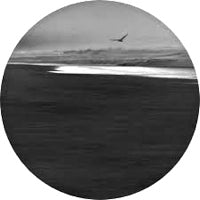 BRAD P / INNER VISIONS