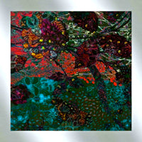 IAN POOLEY / FLORIS EP