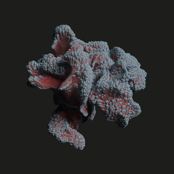 AERA / PRANA EP (W-PACK)