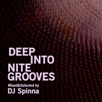 VA(DJ SPINNA) / DEEP INTO NITE GROOVES (MIX-CD)