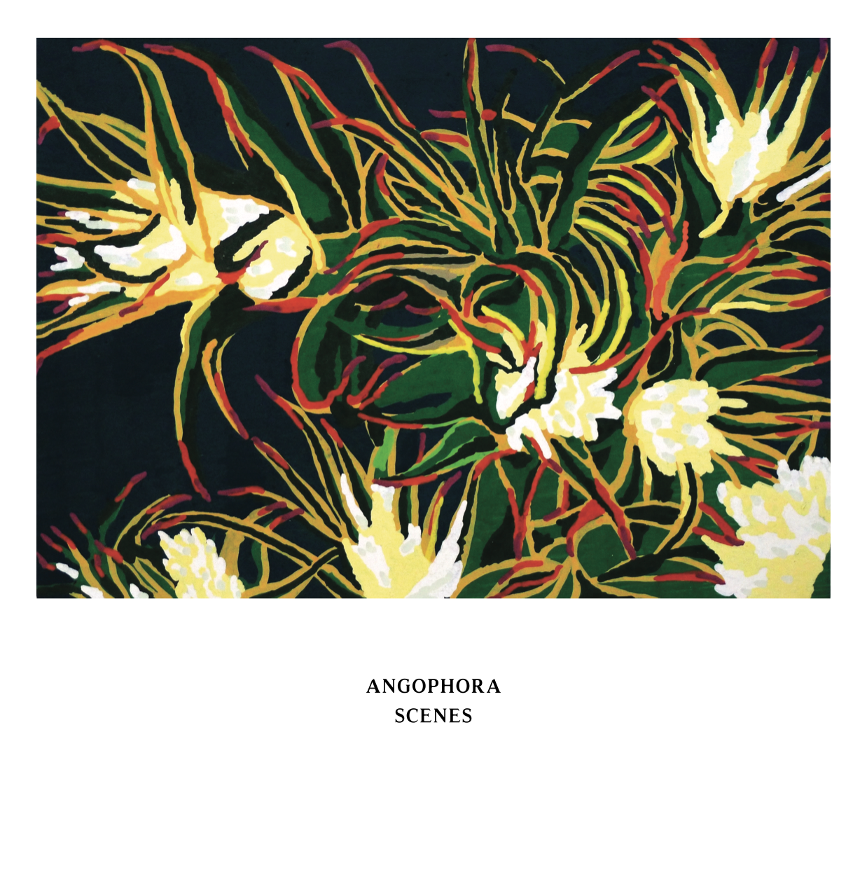 Angophora – Scenes ANGOPHORA / SCENES (LP)