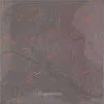 ORGANIZATSIYA ‎ / À L'OMBRE DES ROCHES (LP)