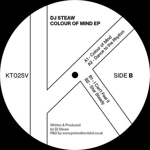 DJ STEAW / COLOR OF MIND EP
