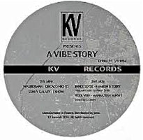 WASHERMAN / SUNNY GALAXY / INNER SENSE / KOOL VIBE / A VIBE STORY