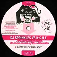 DJ SPRINKLES VS KS.HE / A SHORT INTRODUCTION TO THE HOUSE SOUNDS OF TERRE THAEMLITZ