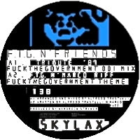 FUCKTHEGOVERNMENT / FTG AND FRIENDS