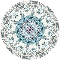 VAKULA & DUSTY BARON / LELEKA 4(12"+7")