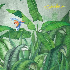 SAIDÊRA / LUZES DA CIDADE