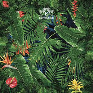 EARTHBOOGIE / HUMAN CALL (2LP)