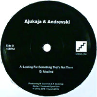 AJUKAJA & ANDREVSKI / LOOKING FOR SOMETHING THAT'S NOT THERE