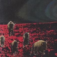 MIAJICA / MIAJICA EP