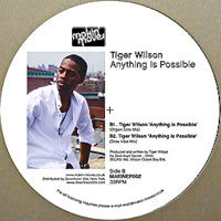 TIGER WILSON / ANYTHING IS POSSIBLE
