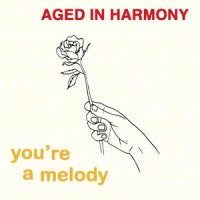 AGED IN HARMONY / YOU'RE A MELODY (3x7"+ MAGAZINE)