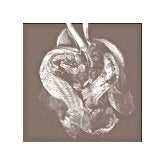 DAMON BELL / HUE-MAN MADE EP