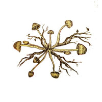 ASIAN PSILOCYBE FOUNDATION / DJ YOGURT / MOJA / DAIKAKU EP