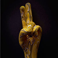 SOULPHICTION / RIOT PARTY 2