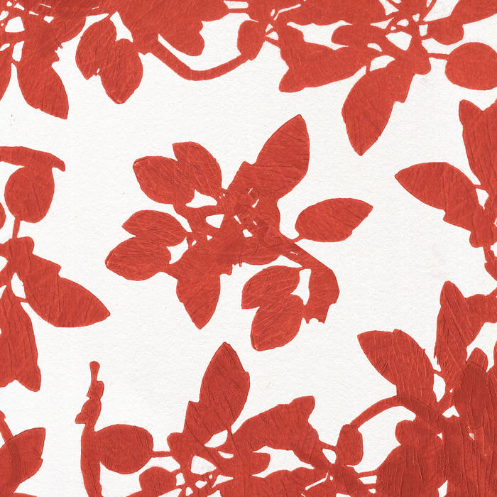 MIDDLE NAME DANCE BAND / MIDDLE NAME DANCE TRACKS VOL.2