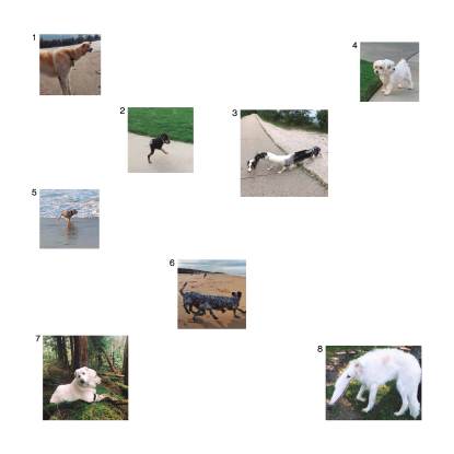 OUR SOULS ARE IN THE HANDS OF THE TRANSLATOR (JAMAL MOSS) / AN ERA OF SPIRITUAL TENEBRAE