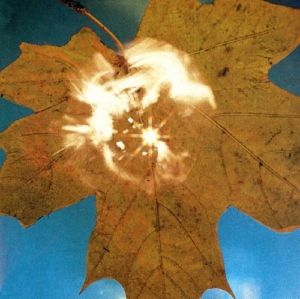 SOYUZ / FORCE OF THE WIND (LP)