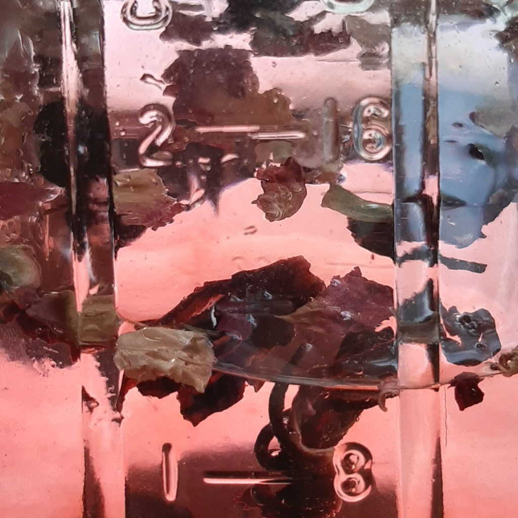 PONTIAC STREATOR / TRIZ (2x12 inch)