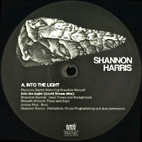 SHANNON HARRIS / INTO THE LIGHT / KINETIC ENERGY