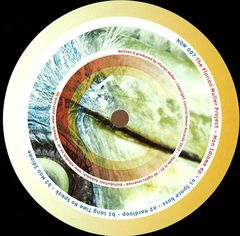 THE FLORIAN MULLER PROJECT / MON IDIOME