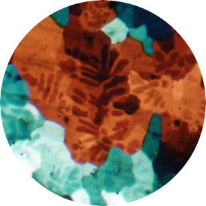 BOOKS / SOUR GRAPES EP