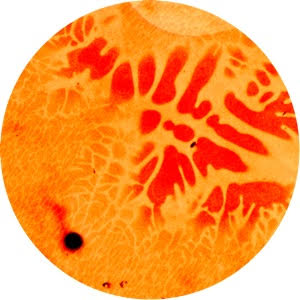 PONTY MYTHON / UNIVERSE OF POPS EP