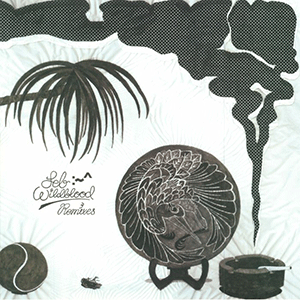 SEB WILDBLOOD / THE ONE WITH THE REMIXES