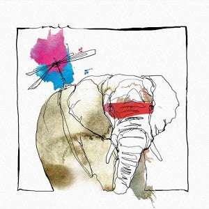 DAVID MAYER / THE CALL