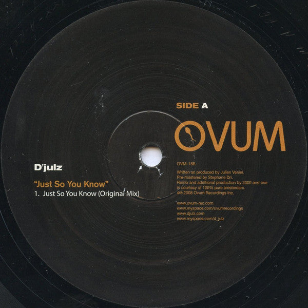 D'JULZ / JUST SO YOU KNOW (2000 AND ONE REMIX)