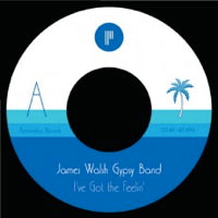 JAMES WALSH GYPSY BAND / I'VE GOT THE FEELIN' (7 inch)