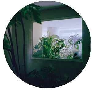 RAY KANDINSKI / CRESSIDA