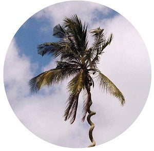 HARRISON BDP / BE LIKE WATER EP