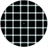 MICROWORLD / SIGNALS / SMILE (REMASTERED)