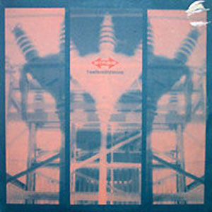 STASIS / FROMTHEOLDTOTHENEW (2LP)