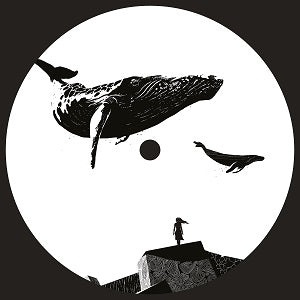 HARRISON BDP / CONFUSION OF SOUND EP