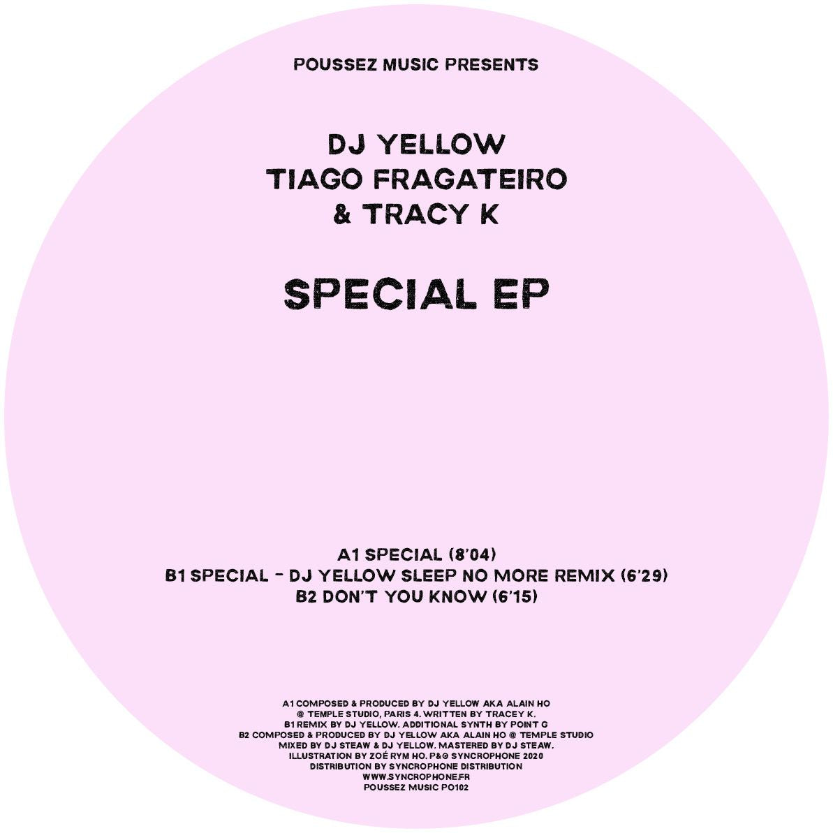DJ YELLOW, TIAGO FRAGATEIRO & TRACY K / SPECIAL EP