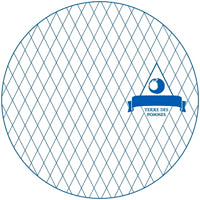 THE WORKING ELITE / FREEDOM (Incl. TUFF CITY KIDS REMIX)