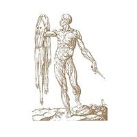 CHASING VOICES / AWOKEN BY TEARS