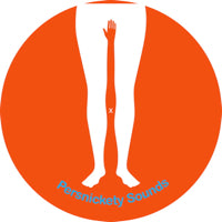 PERSNICKETY ALL-STARS / MR. SNIPPY & DJ BANG REMIXES