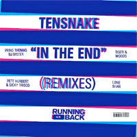 TENSNAKE / IN THE END (REMIXES)(W-PACK)