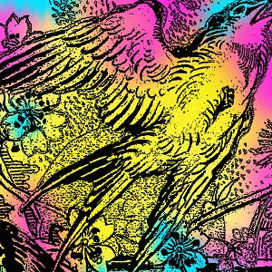 VA / ONE SWALLOW DOESN'T MAKE A SUMMER PART 1